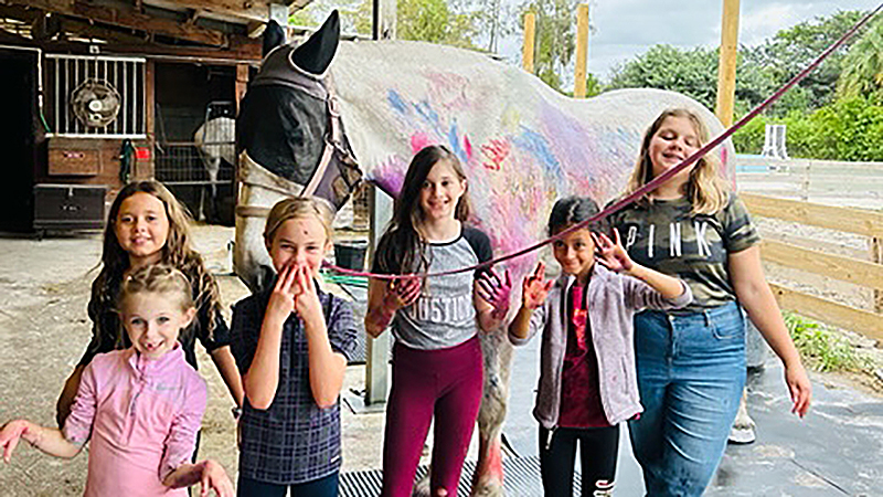 Gallop into Adventure: Join Spitfire Farm's Horse Camp for an Unforgettable Summer
