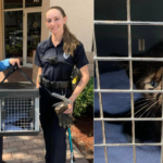 From Engine Troubles to Kitten Cuddles: The Heartwarming Story of Coconut Creek Police Rescue Mission