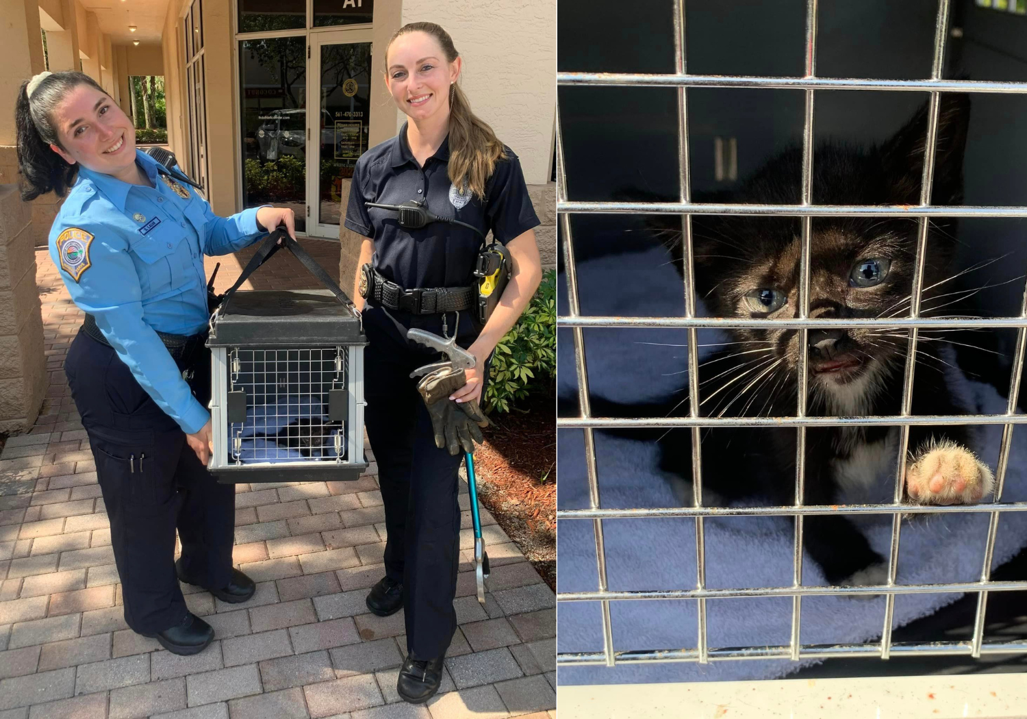 From Engine Troubles to Kitten Cuddles: The Heartwarming Story of Coconut Creek Police Rescue Mission 1