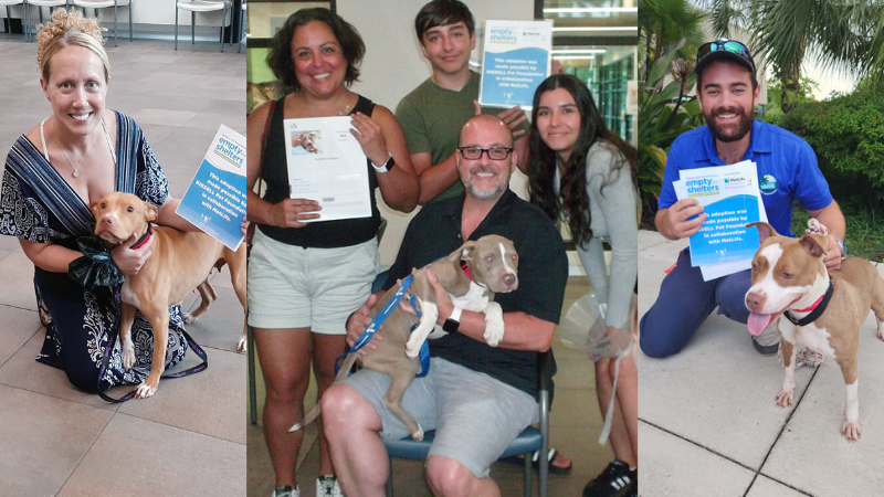 Over 150 Pets Find Homes in Broward County During National "Empty the Shelters" Event