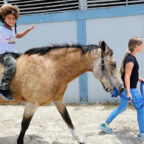 Saddle Up for Thanksgiving and Winter Break Camps at Spitfire Farm