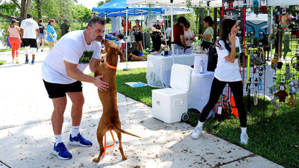 Four-Legged Fun Takes Over Windmill Park at Coconut Creek Dog Expo