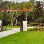 Register for Wize Academy Coding & Robotics Summer Camp in Coconut Creek