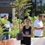 Coconut Creek to Celebrate Arbor Day With Free Tree Giveaway and Gardening Resources
