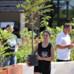 Coconut Creek to Celebrate Arbor Day With Free Tree Giveaway and Gardening Resources