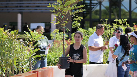 Coconut Creek to Celebrate Arbor Day With Free Tree Giveaway and Gardening Resources